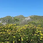Ondarbaso Rurales I זסטואה