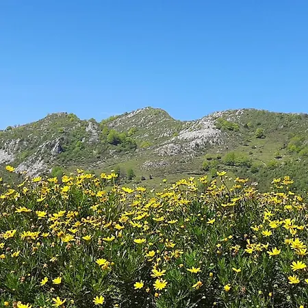 Ondarbaso Rurales I Сестона