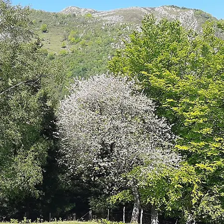 Lägenhet Ondarbaso Rurales I Zestoa