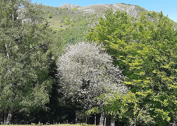 Apartman Ondarbaso Rurales I Zestoa