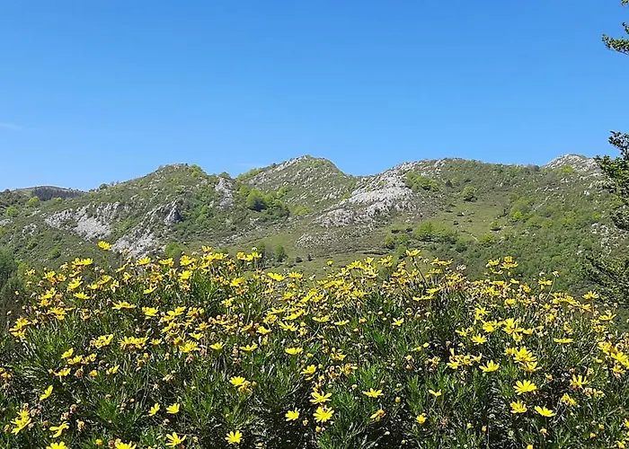 Ondarbaso Rurales I Zestoa