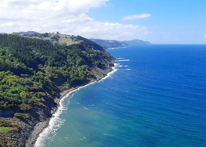 Apartman Ondarbaso Rurales I *